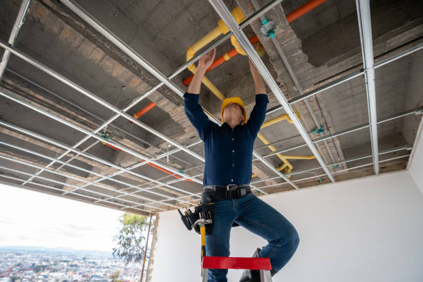 Best Emergency Plumbing Repair  in Bostonia, CA