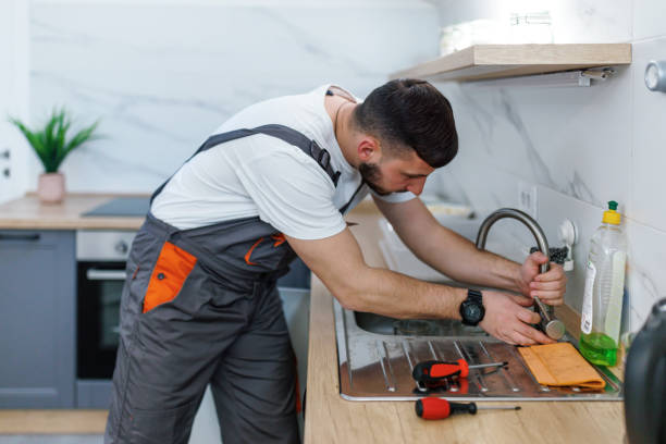 Best Same-Day Plumbing Service  in Bostonia, CA