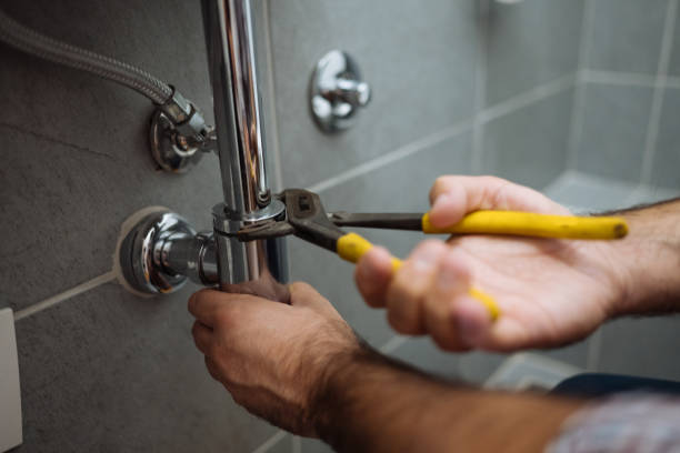 Best Local Plumber Services  in Bostonia, CA