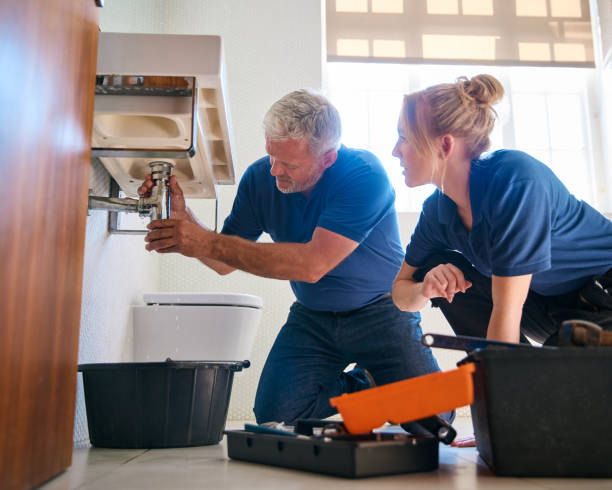 Best Drain Cleaning Services  in Bostonia, CA